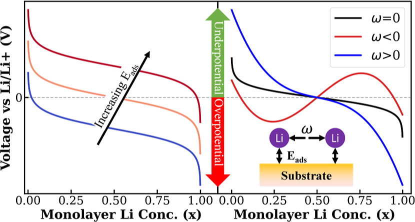 Thermodynamic Origin of Li Underpotential and Overpotential Deposition on Current Collectors